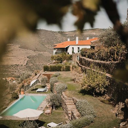 Quinta Da Gricha Hotel Ervedosa do Douro Ngoại thất bức ảnh