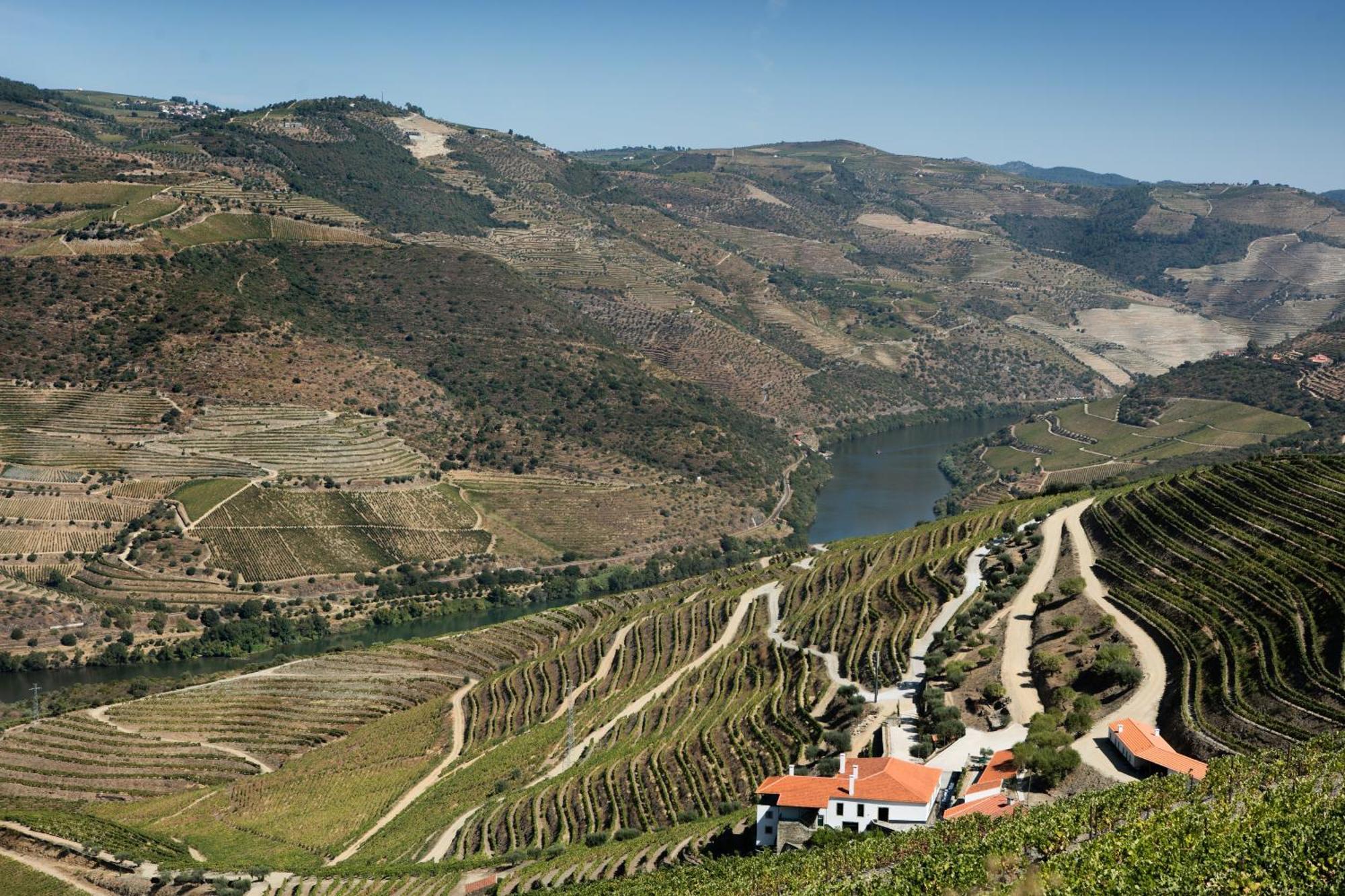 Quinta Da Gricha Hotel Ervedosa do Douro Ngoại thất bức ảnh