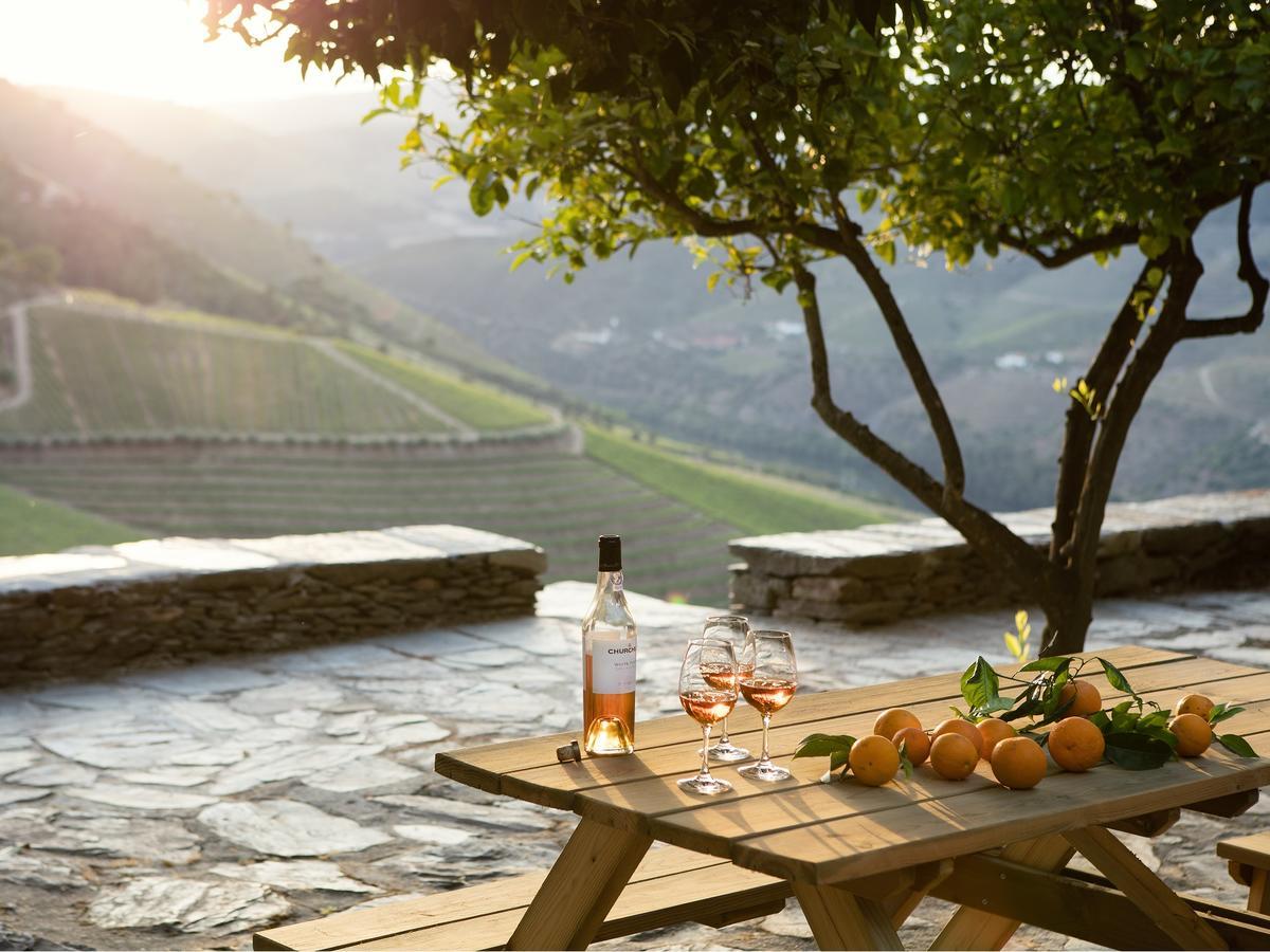 Quinta Da Gricha Hotel Ervedosa do Douro Ngoại thất bức ảnh