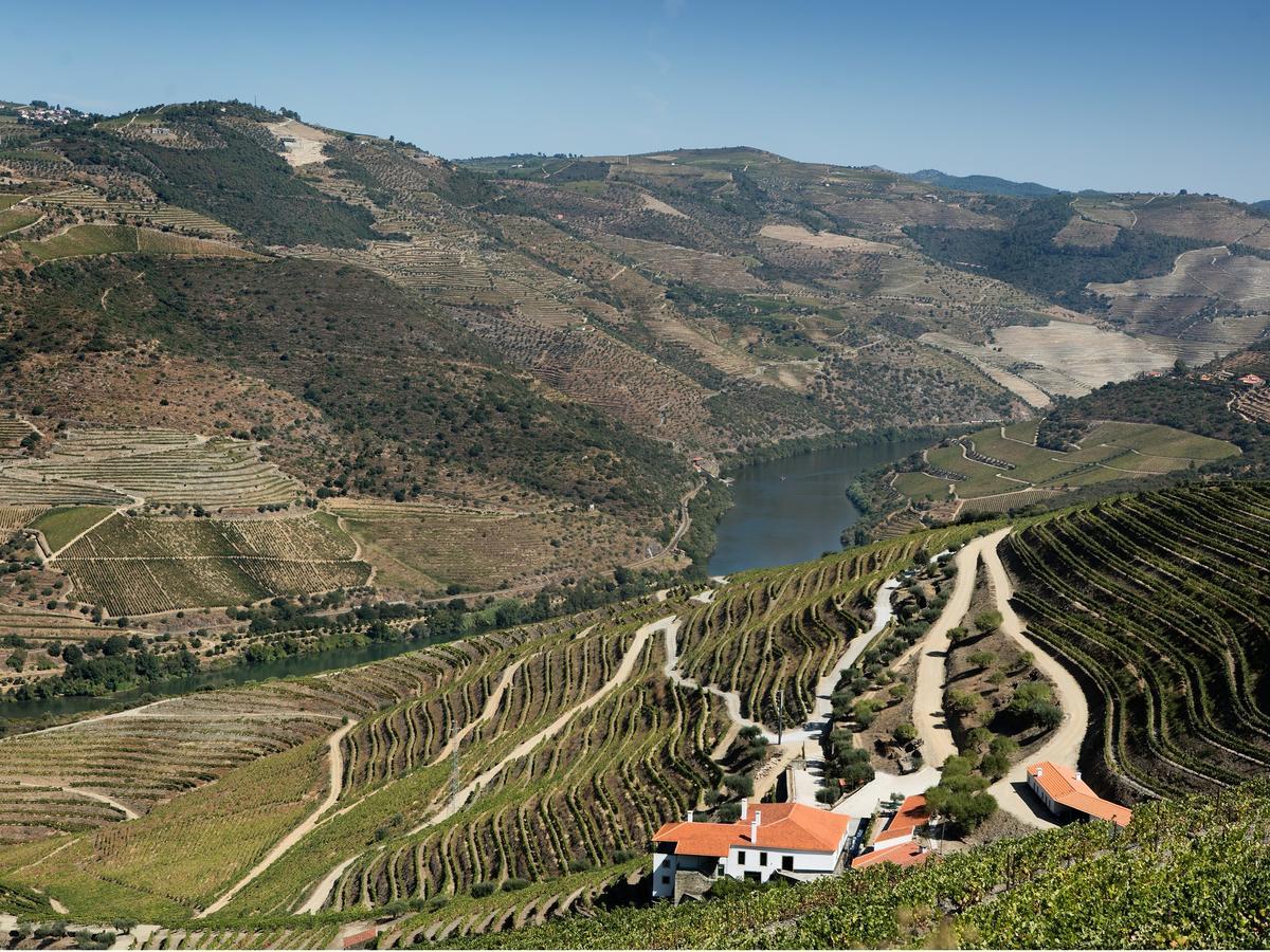 Quinta Da Gricha Hotel Ervedosa do Douro Ngoại thất bức ảnh