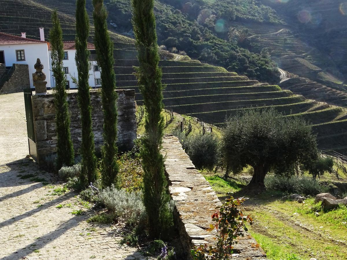 Quinta Da Gricha Hotel Ervedosa do Douro Ngoại thất bức ảnh