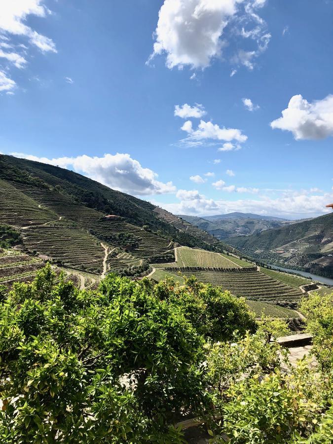 Quinta Da Gricha Hotel Ervedosa do Douro Ngoại thất bức ảnh