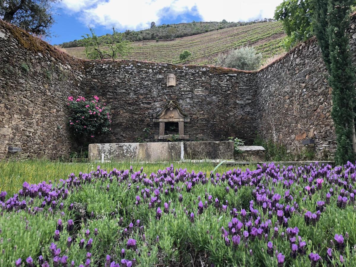 Quinta Da Gricha Hotel Ervedosa do Douro Ngoại thất bức ảnh