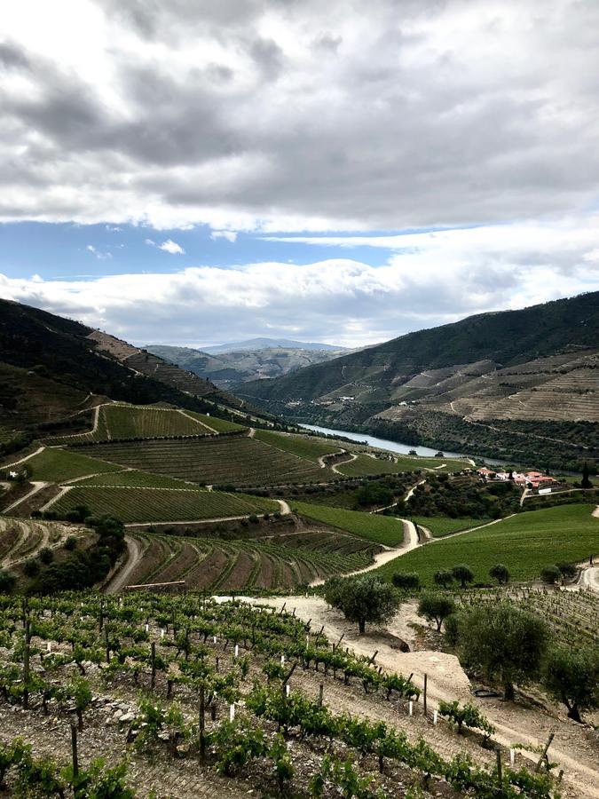 Quinta Da Gricha Hotel Ervedosa do Douro Ngoại thất bức ảnh