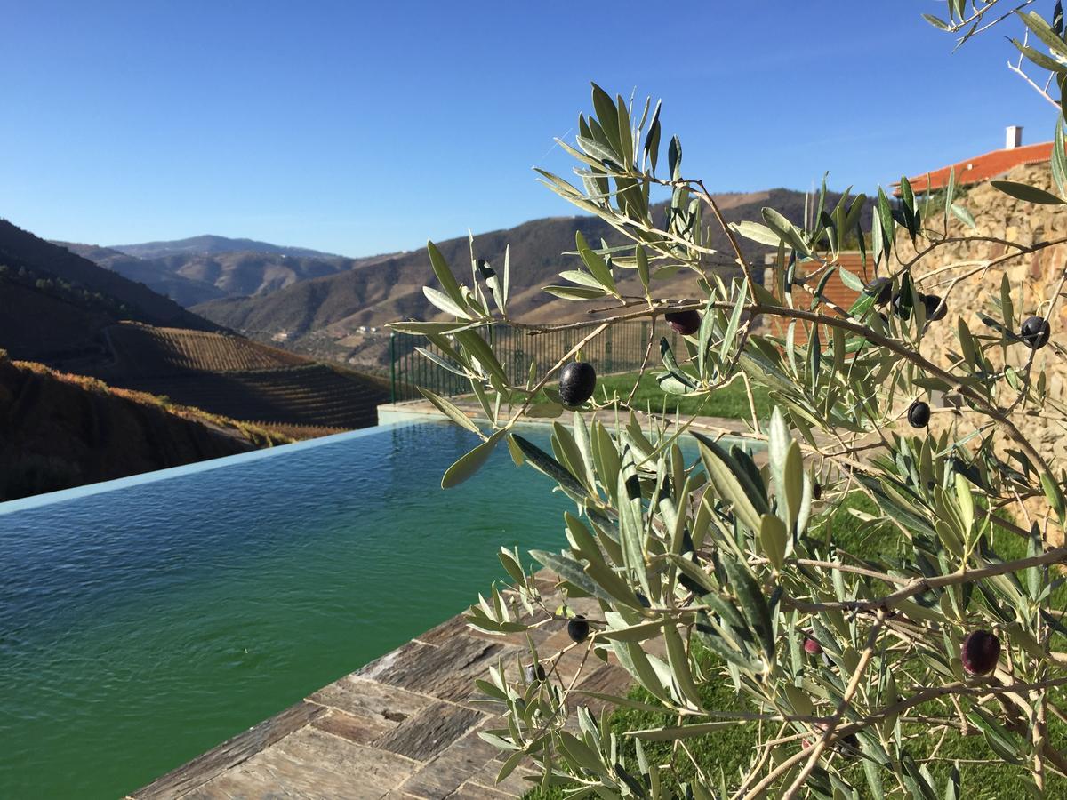 Quinta Da Gricha Hotel Ervedosa do Douro Ngoại thất bức ảnh